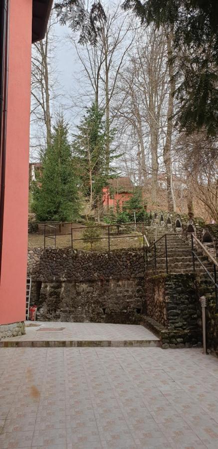 Rosa Villa Baile Olanesti Exterior photo