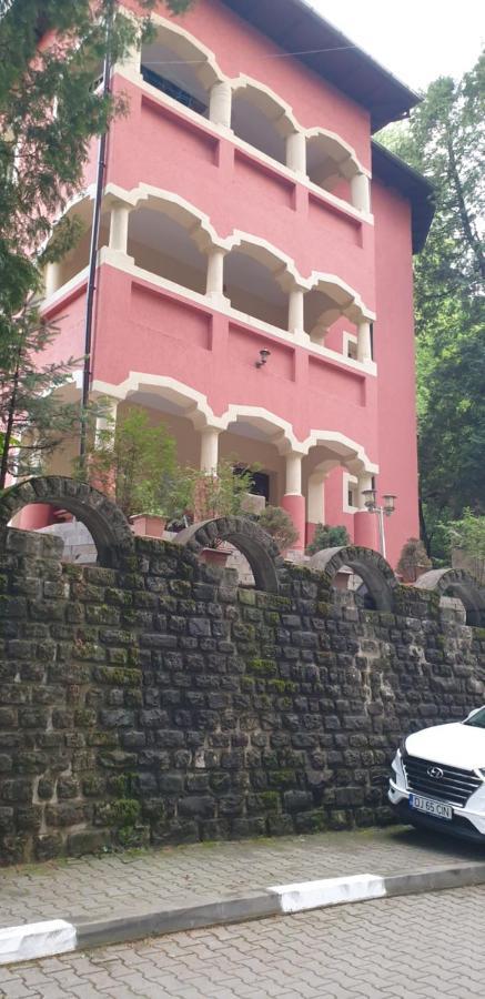 Rosa Villa Baile Olanesti Exterior photo