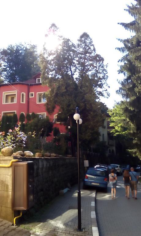Rosa Villa Baile Olanesti Exterior photo